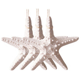 Mediterranean Beach Starfish D128 | Pack of 3 | White